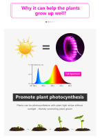 Luces De Crecimiento Para Plantas USB DC 5V Espectro Completo Lámpara Phyto En Tira De 2m 3m Para Semillas Flores Invernadero Y Plantas Hidroponicas Iluminación - details 3