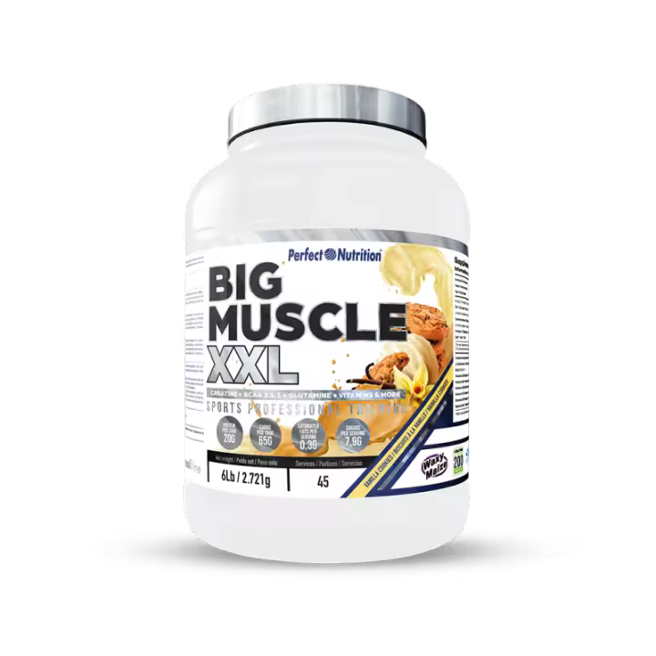 Big Muscle Xxl (2.7 kg) PERFECT NUTRITION - 1