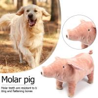 Juguete De Peluche Para Perros Y Gatos Almohadilla De Sueño Companion Mordedor De Algodón Para Pequeños Perros Bulldog Francés Divertido Juguete Para Moler Y Jugar - details 0