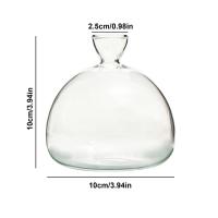 Kit De Crecimiento De Semillas De Agarrope Vaso De Vidrio Transparente Para Cultivo De Semillas Regalo Para Amantes Del Jardín Decoración Del Hogar Estilo Moderno - details 12