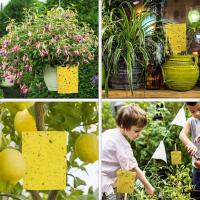 Gaps de Pegamento Amarillos para Insectos Voladores 30 Piezas Impermeables Resistentes a Alta Temperatura para Plantas y Mosquitos - details 7