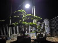 Lámpara Solar LED Exterior Potente 2025 Con Control Remoto 3 Modos Impermeable Luz Para Jardín Y Calle Con Carga Solar Y Batería Incluida - details 5
