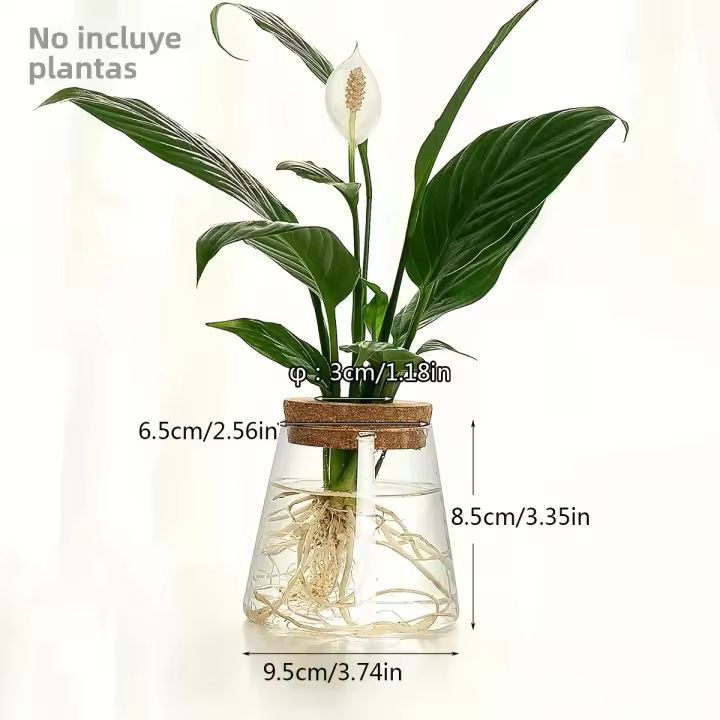 Estación De Cría De Plantas En Vaso De Vidrio 1pc Soporte Para Flores Y Decoración De Escritorio Para Oficina Y Hogar - 1