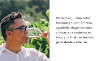 Raimat Clamor Blanco Eco - Vino Blanco - Caja 6 botellas 75cl - details 4