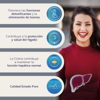 Tongil - Cápsulas de Cardo Mariano 10000mg 40 Cápsulas| Apoyo al Hígado y Metabolismo | Equilibrio Nutricional y Bienestar | Suplemento Alimenticio para la Desintoxicación - details 3