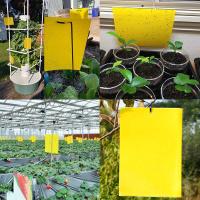 Gaps de Pegamento Amarillos para Insectos Voladores 30 Piezas Impermeables Resistentes a Alta Temperatura para Plantas y Mosquitos - details 5
