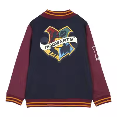 SUDADERA CON CREMALLERA COTTON BRUSHED HARRY POTTER - 1