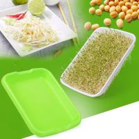 Plato De Crecimiento Sprout 33cmx26cmx5cm Para Microgreens Sistema Hidroponico De Sprouts Herramienta De Jardinería Y Agricultura - details 10