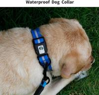 Collar De Perro PVC Impermeable Y Anti-Olor Durable Ajustable De Poliéster Suave Con Rayas Reflectantes S/M/L Para Todas Las Estaciones - details 8