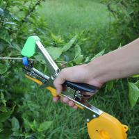 Cinta De PVC Para Enredar Ramas De Plantas Con Tachuelas Herramienta De Jardín Para Frutas Y Árboles Certificación No Incluida Material Plástico - details 1