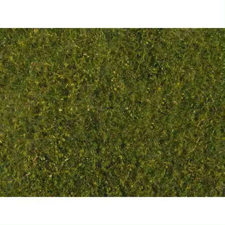 Flocado pradera, verde medio. - 1