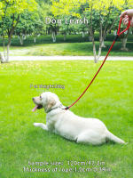 Correa De Perro Roja Redonda Y Duradera 1PC Alta Calidad Para Mascotas Juguetes De Cuerda Resistente Para Cachorros Y Animales De Compañía - details 2