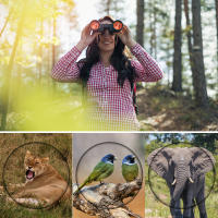 Binoculares De Camping 60X60 Alta Potencia Telescopio HD Longitud De Rango 15000m Para Turismo Caza Resistente Al Agua BAK4 Prismas - details 5