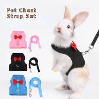 Correa De Malla Transpirable Para Mascotas Pequeñas Conejos Y Ardillas Ideal Para Cachorros Y Animales Domésticos - details 0