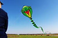 Palo De Sapo Con Caudal Colorido Largo Para Principiantes Kites Para Niños Y Adultos Incluye Cuerda Y Mango Material De Poliéster - details 1