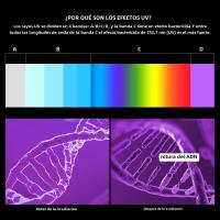 Instrumento Multifuncional De Desinfección UV Con Aromaterapia Y Caja De Estérilización Ozone Para Tatuaje Y Extensión De Pestañas - details 7