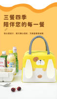 Bolsa de picnic al aire libre para estudiantes, bolsa de hielo fresco espesada con papel de aluminio, bolsa de lonchera portátil, bolsa de almuerzo portátil, bolsa de aislamiento bento - details 12