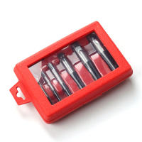 Extrayente De Tornillos Rotos 5/6/8 Piezas Acero Duradero Fácil De Usar Herramienta Para Remover Tornillos Dañados Y Bolts Centro De Buey - details 5