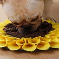 Alfombra De Aromaterapia Para Perros Alfombra De Entrenamiento Para Mascotas Que Fomenta Las Habilidades De Buscado Y Alivio Del Estrés Material Duradero Tamaño Óptimo Para El Uso Diario - details 2