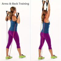 Set De 11 Piezas Bandas De Resistencia Para Ejercicio Elástico Equipo De Fitness Portátil Con Correa De Tobillo Expansor De Pecho - details 6