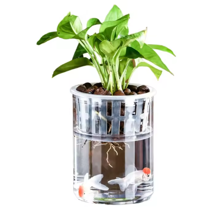 Maceta Autoabastecida Transparente De Plástico Para Plantas Y Acuarios Decoración Moderna Para Sala De Estar Y Oficina - 1
