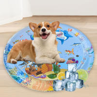 Alfombra De Agua Para Mascotas De Verano Alivio Del Calor Inflable Sensory Matriz De Juguete De Nylon Para Perros - details 0
