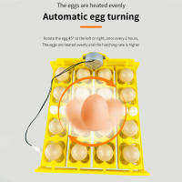 Incubador De Huevos Automático 16/24 Huevos AC220V Herramienta De Incubación Para Pollos Pájaros Y Cochinillos En Granja - details 8