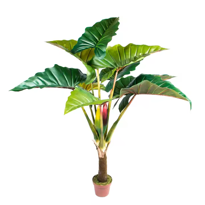 Nortene | Planta Artificial Arcoiris 170 Cm Nortene | Plantas Artificiales Realistas | Decoración Para Hogar Y Oficina | Perfecta Para Ambientes Modernos - 1
