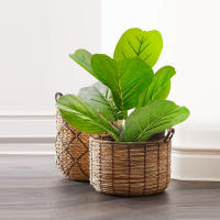 Arbusto Artificial De Ficus De 45-63cm Estilo Nórdico Planta Potted Para Decoración De Hogar Y Jardín Material Plástico - details 4