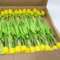 Lujosa Silicón Toque Real Tulipes Arreglo Floral Artificial Decorativo Para El Hogar Graduación Origina China Continental - details 0