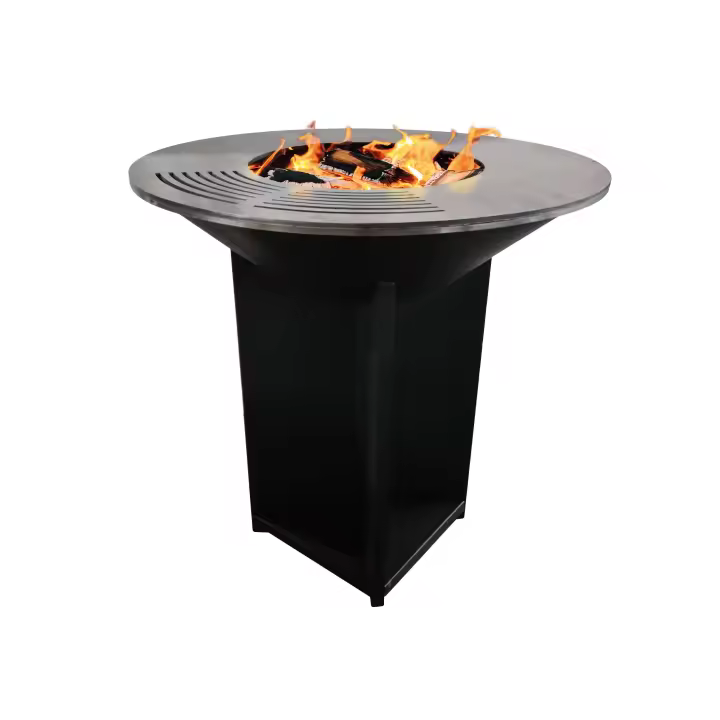 Barbacoa grande en negro con plancha acero y grill EFP56B Purline - 1