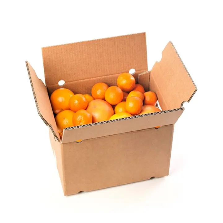Naranja de Campo Fresca 4 o 10 kilos  Color Naranja con Pulpa Anaranjada del Interior - 1