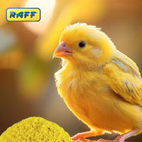 Pasta de Cria para Canarios Raff Easy Amarillo 4kg, Alimento para Aves, Rico en Nutrientes para una Dieta Completa y Equilibrada - details 1