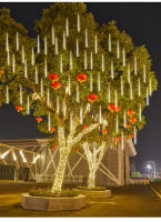 Luces De Show De Meteoros LED Con 8 Tubos EU Plug 30/50 Cm Decoración De Jardín Navideña Cadena De Luces Faeira Para Exterior Y Calle - details 10
