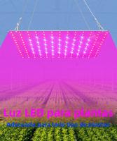 Lámpara De Cultivo De Plantas LED De 200W Espectro Completo Para Suculentas Jardín De Hojas Frutas Verduras Flores Iluminación De Relleno - details 0