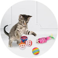 Juego De Juguetes Para Gatos 10/11 Piezas Pack De Variedad Juguete Divertido Para Gatos Combustible De Plástico - details 2