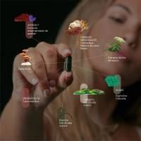 Optimum Pack Welcome | Nutricosmético | Ingredientes Naturales y Adaptógenos | Potencia la Luminosidad de la Piel | Efecto Antiagring | Apto para Intolerantes a Lactosa o Gluten | 60 Cápsulas - details 3