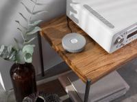 Audio Pro Link 1 - details 1