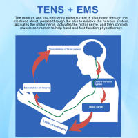 Dispositivo De Terapia De Baja Frecuencia 12 Modos Masaajeador Eléctrico Estimulador Muscular EMS Máquina TENS Con Apparatus De Miostimulación - details 10