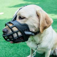 Mordaza Ajustable Para Perros Con Bandeja Reflectoria Material Plástico Transpirable Permitiendo Beber Agua Anti-Mordedura - details 8