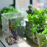 Caja De Alimentación Para Mascotas Arborescentes Acranged Transparente De Plástico Terrario De Enclosure Para Reptiles Y Invertebrados De Cría - details 3