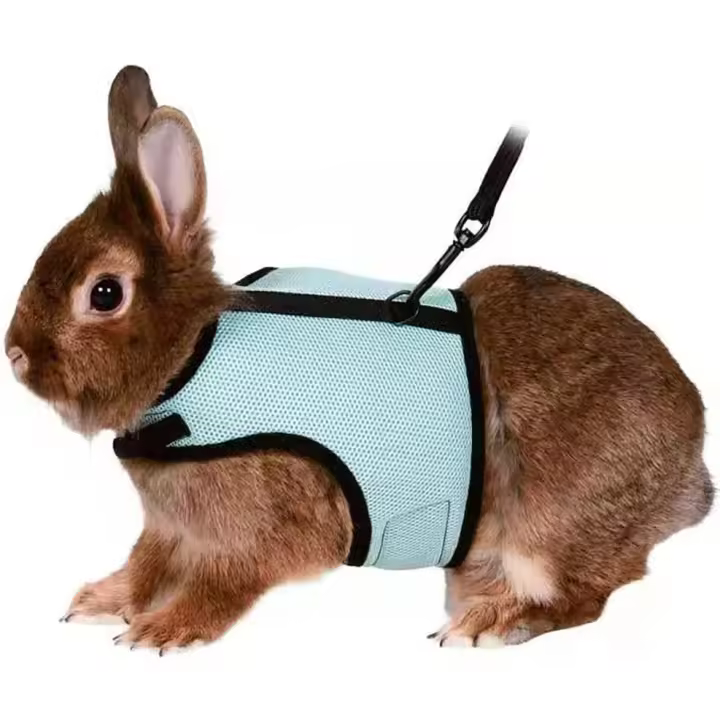 Arnés de conejo suave ajustable con correa elástica para animales pequeños, conejos, hámsteres, gatos (L, verde claro) - 1