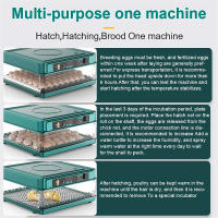 Incubadora Automática Mini con Volteo de Huevos Control de Temperatura y Riego HidroIónico Caja Extraíble Capacidad para 10 15 Huevos de Gallina Incuba Patos Gansos Palomas Codornices Voltaje Dual 12V/220V Incubadora Inteligente - details 4