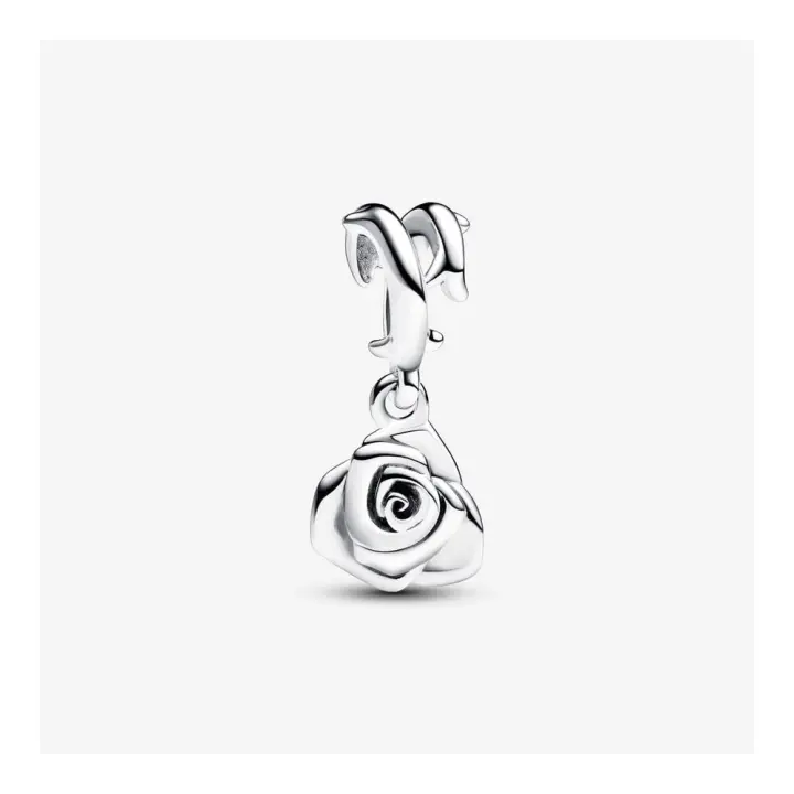 793213C00 - Charm Pandora de plata 793213C00 PANDORA Raíz Joyas de Plata Joyas Pandora inicio Charm Pandora Colgantes de Plata Mujer Pandora Original - 1