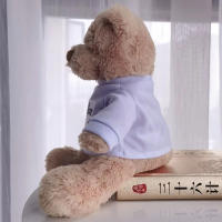 Oso De Peluche DIY Con Camiseta Blanca 11 Pulgadas Juguete De Peluche Unisex Para Niños De 3 a 6 Años Relleno De Algodón PP - details 1