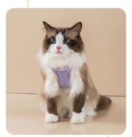 Correa Para Mascotas Ajustable Y Antirrompida De Talle Suave Transpirable Tipo Chaleco Para Perros Y Gatos Pequeños Con Correa Para El Cuello Y La Espalda - details 26