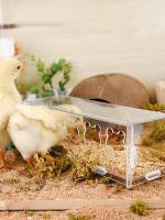Alfombra De Alimentos Para Pollos En Acrílico Transparente Y Antisalpicaduras Gran Capacidad Con 3/5 Agujeros Para Ruttin Fabricada En Plástico - details 2