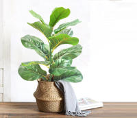 Arbusto De Ficus Artificiales Nórdicos En Maceta 35-63cm Decoración De Hogar Y Jardín Estilo Silken Tree Para Exposiciones Y Ambientes Al Aire Libre - details 4