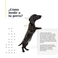 Yagu - Jersey para Perros de Punto Corazones - Abrigo para Perros - Ropa Estampada para Mascotas - details 3