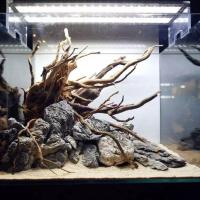 Nueva Decoración De Acuario En Madera Natural Arbolado Y Raíces Para Acuario Pez Decoraciones De Plantas Y Tronco De Árbol Para Decoración De Acuario - details 6